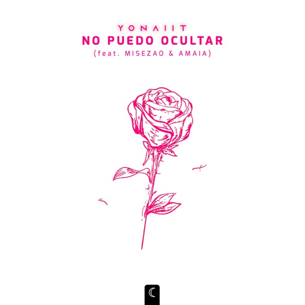 No Puedo Ocultar (feat. Misezao & Amaia) - Single album cover