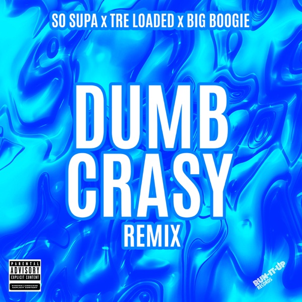 Dumb Crasy (Remix) - Single album cover