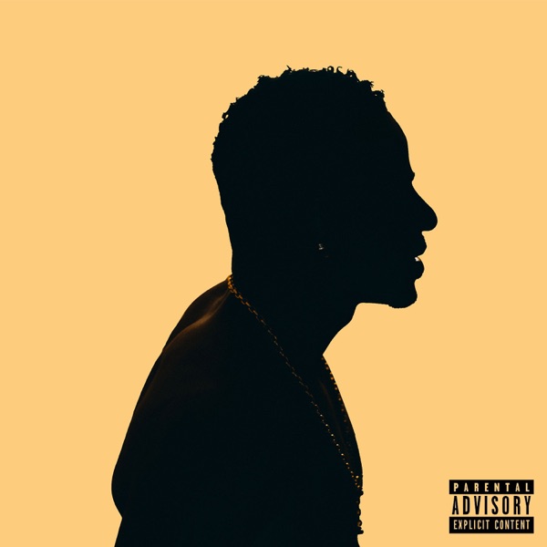 New Light album cover