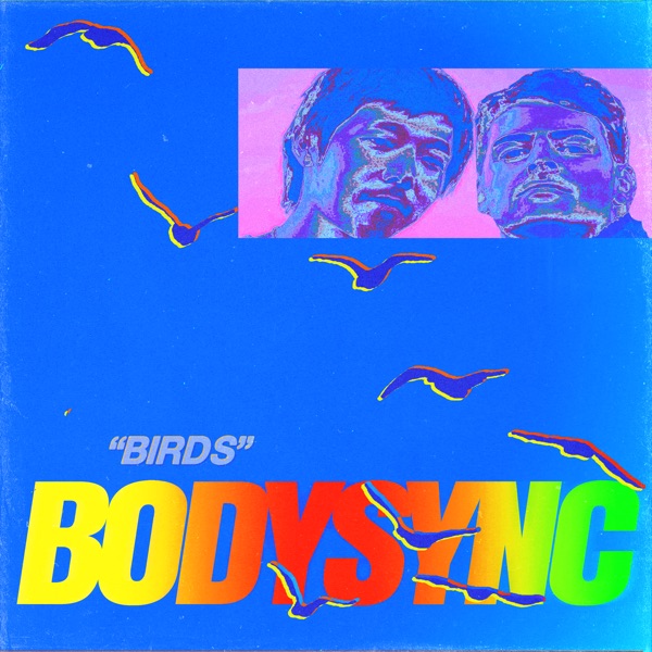 Birds - Single album cover