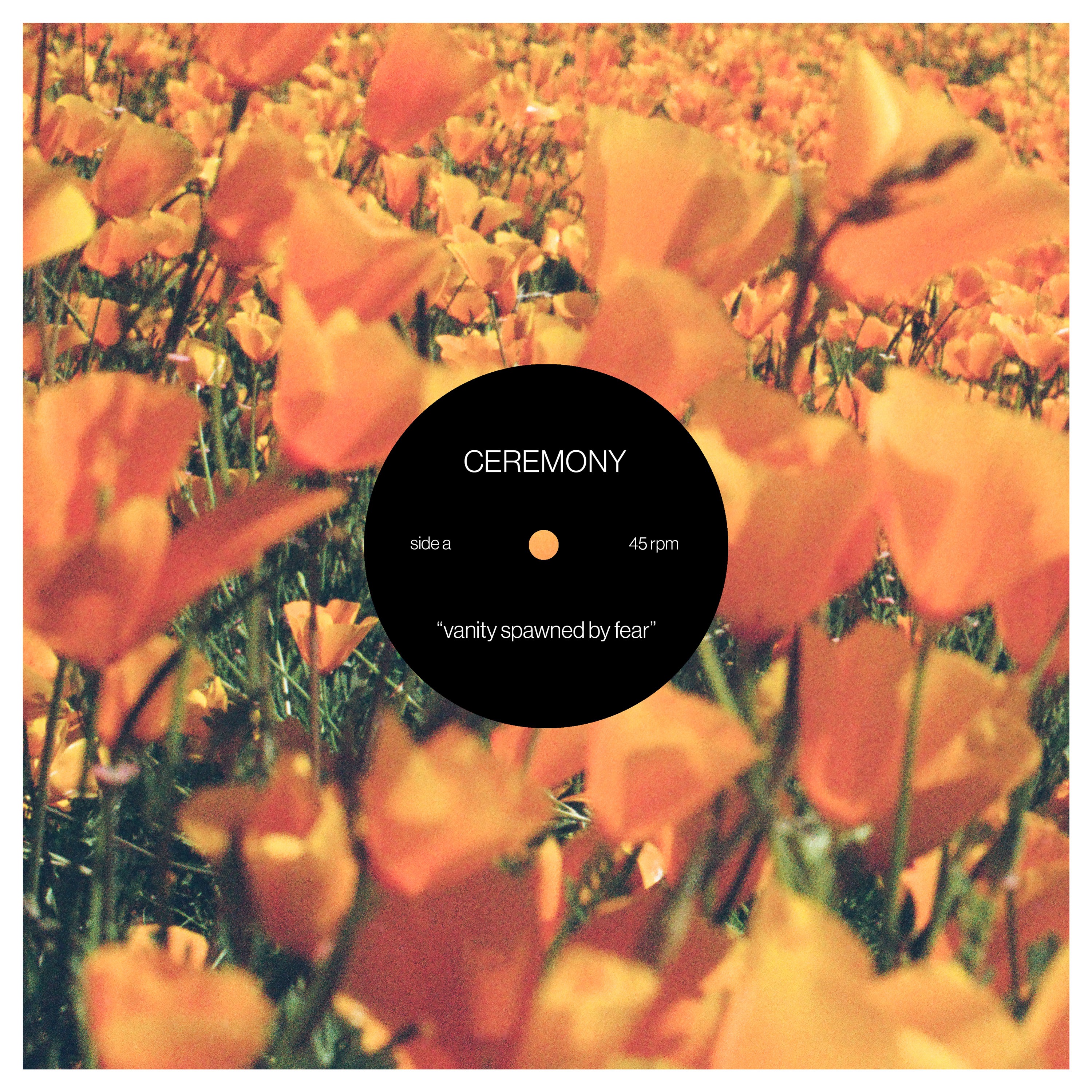 Vanity Spawned by Fear - Single album cover