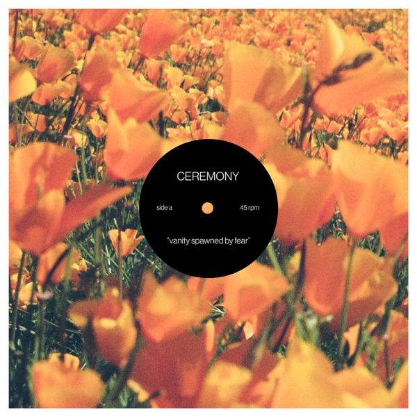 Vanity Spawned by Fear - Single album cover