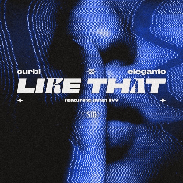 Like That (feat. Janet Livv) - Single album cover
