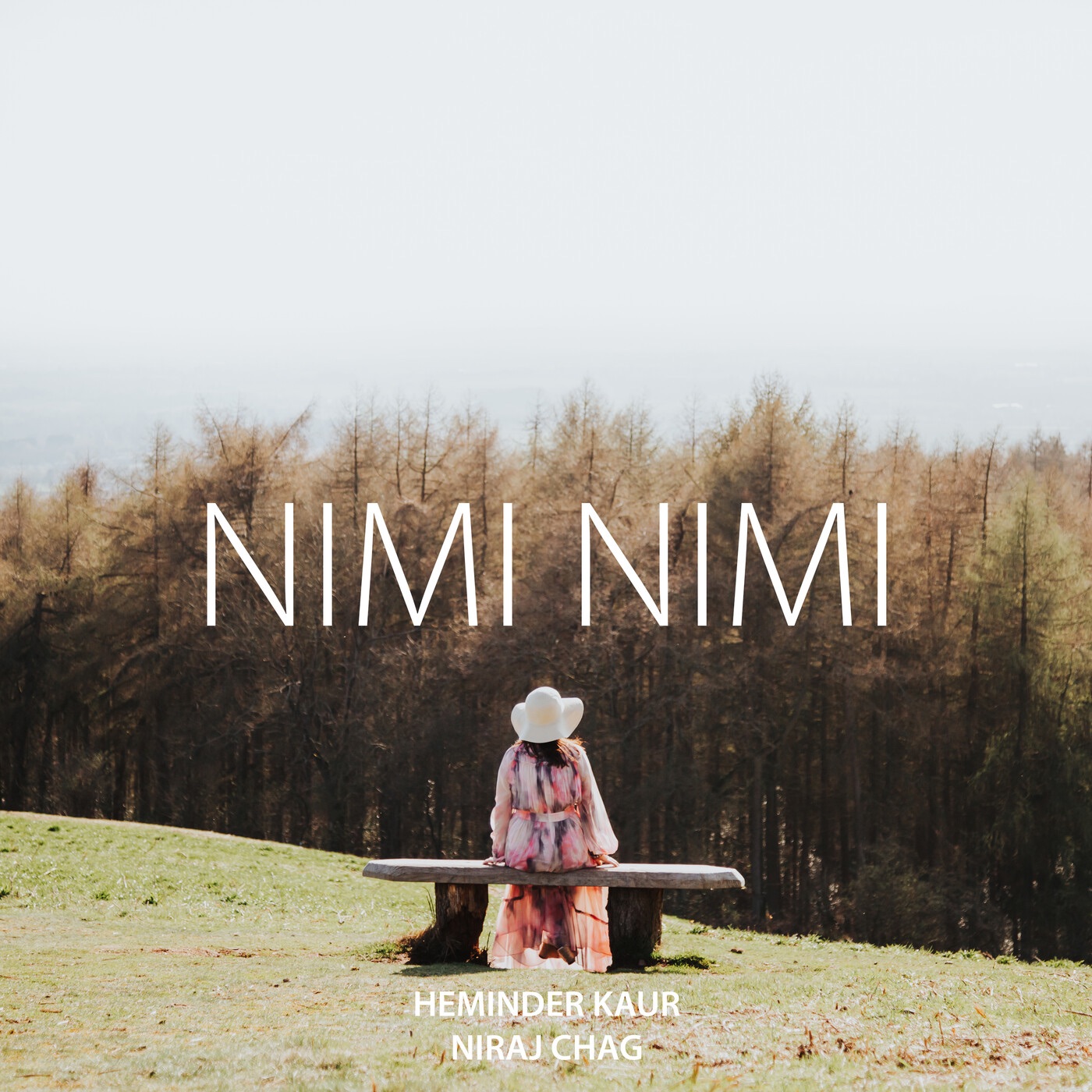 Nimi Nimi - Single album cover