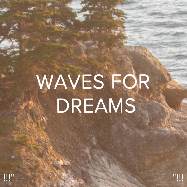 !!!" Soothing Waves "!!! album cover