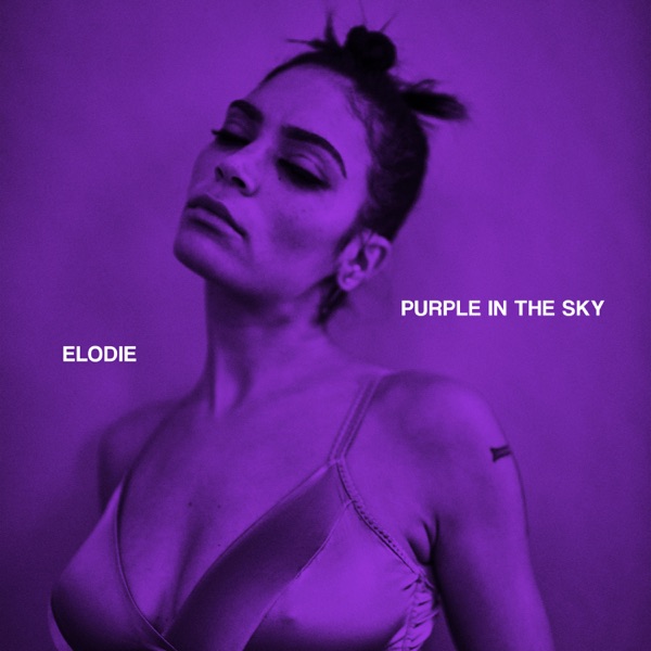 Purple In The Sky - Single album cover