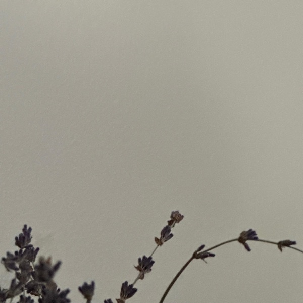 air (feat. reefuh) - Single album cover