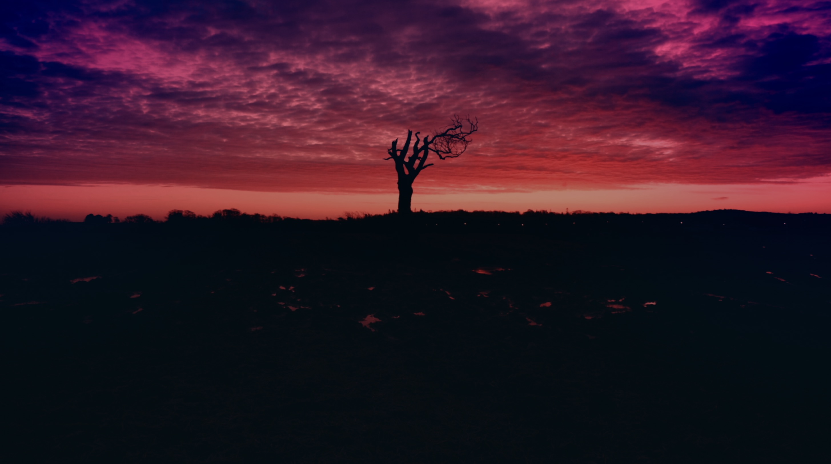 Dawn Yarn - Single album cover