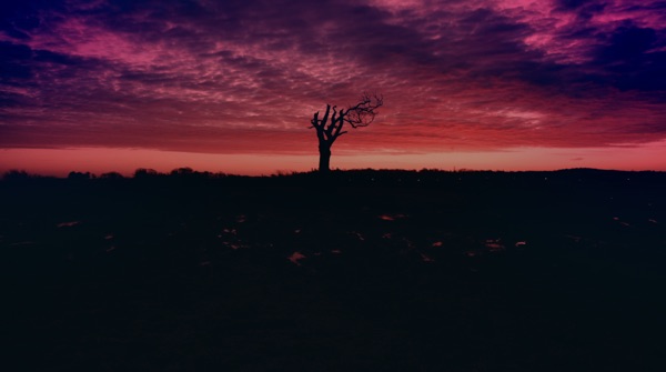 Dawn Yarn - Single album cover