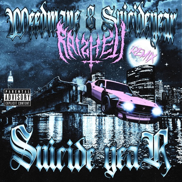 SUICIDE YEAR (RAIZHELL Remix) - Single album cover