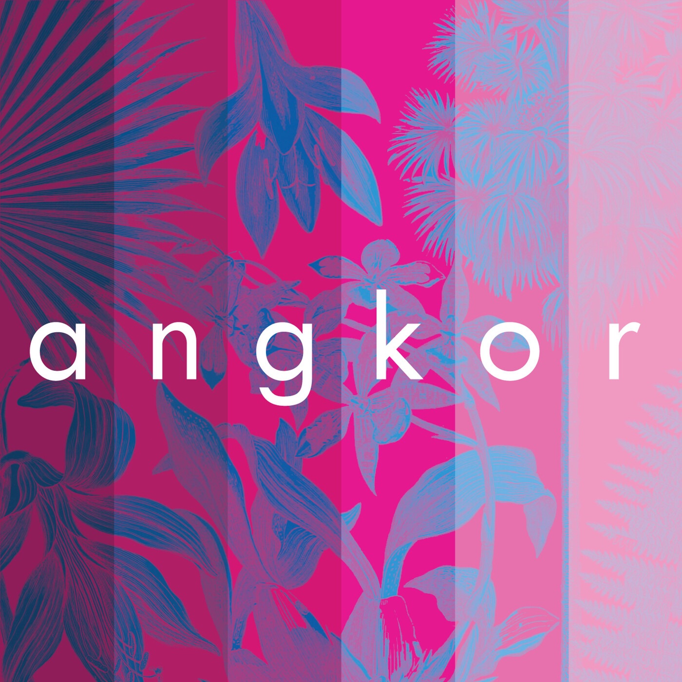 Angkor (feat. Welshly Arms) - Single album cover
