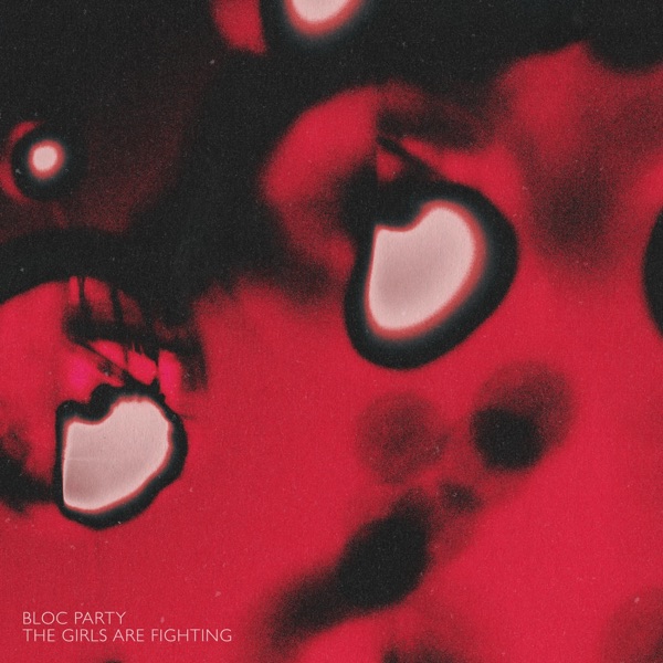 The Girls Are Fighting (Edit) - Single album cover