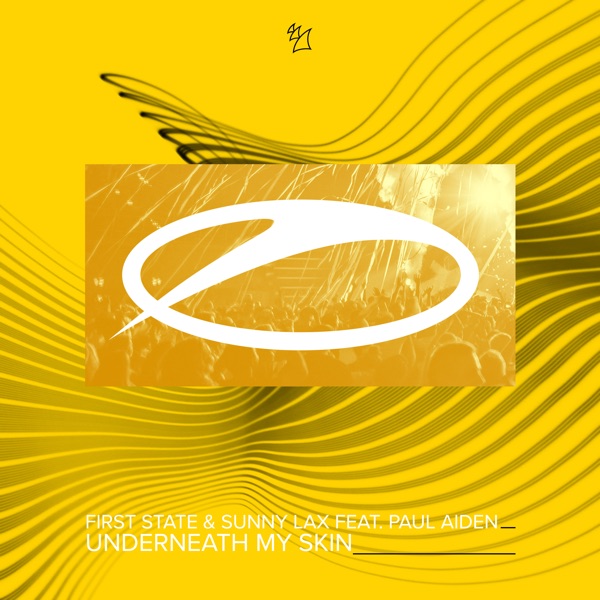 Underneath My Skin (feat. Paul Aiden) - Single album cover