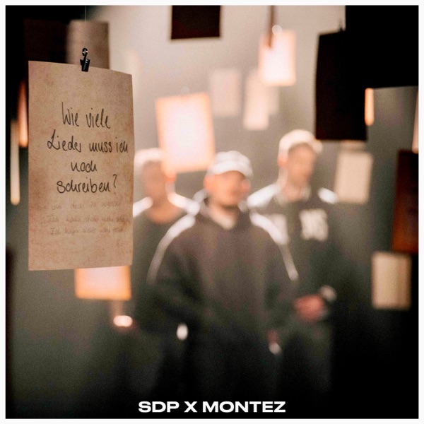 Wie viele Lieder muss ich noch schreiben? - Single album cover