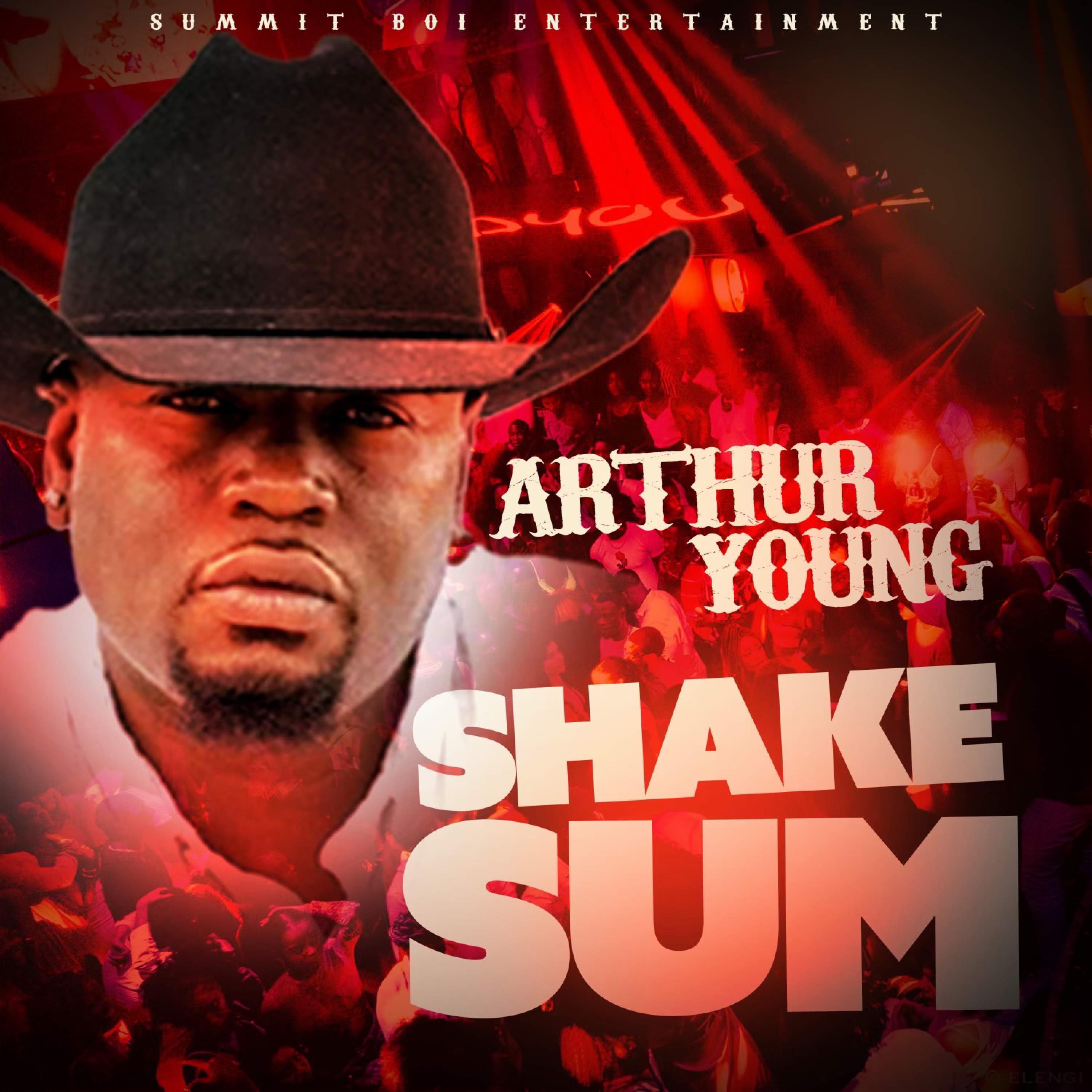 Shake Sum - Single album cover