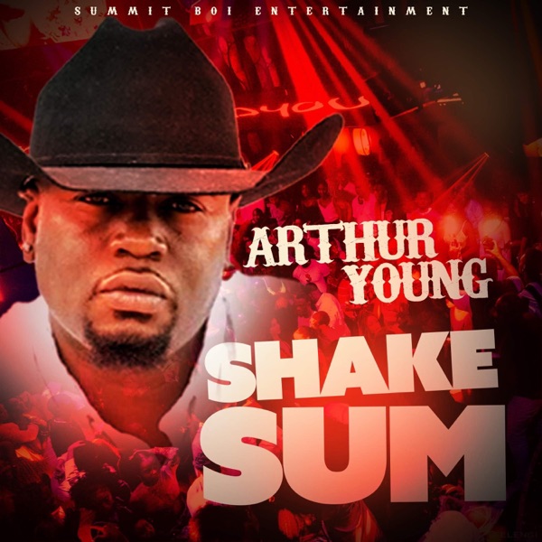 Shake Sum - Single album cover