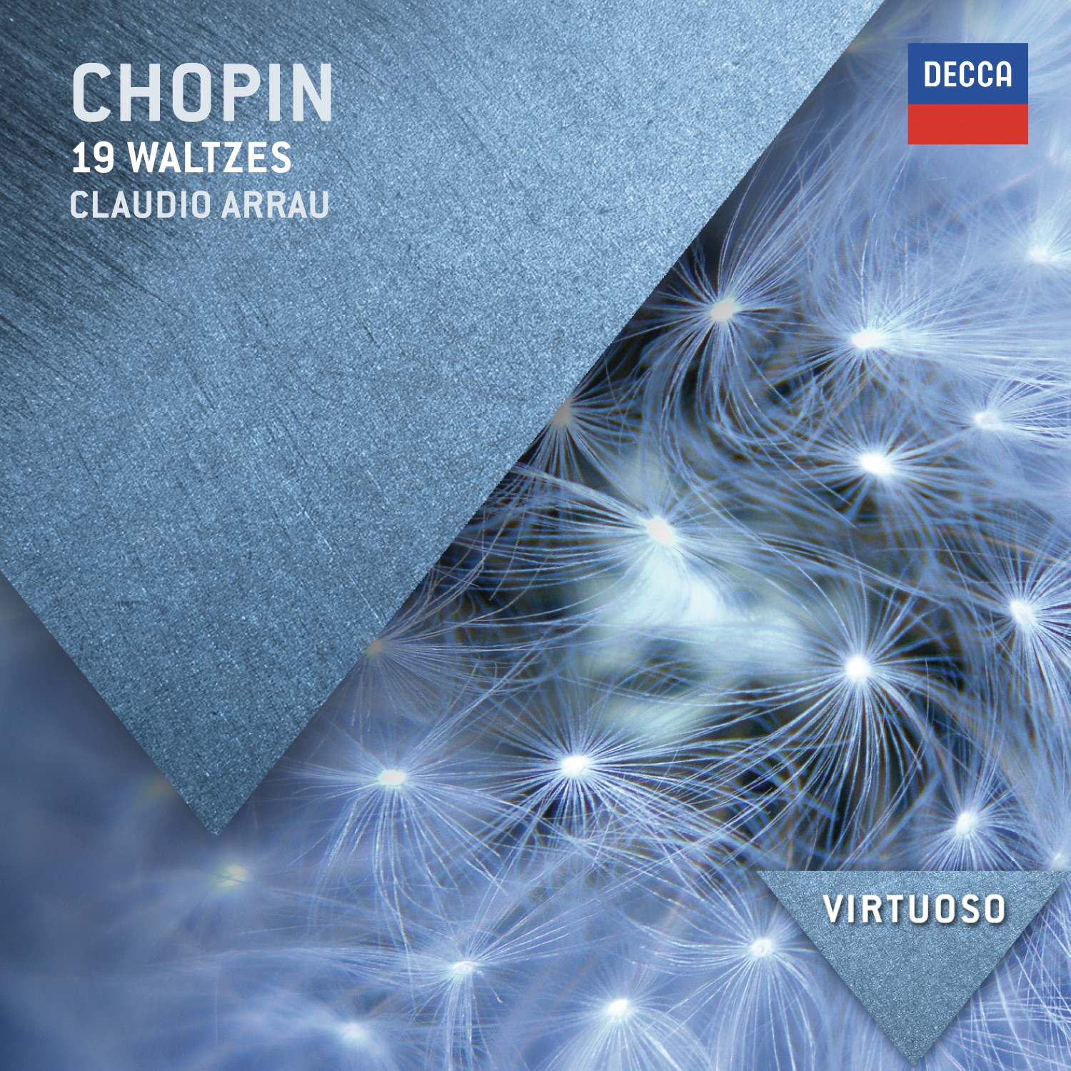 Chopin: 19 Waltzes album cover