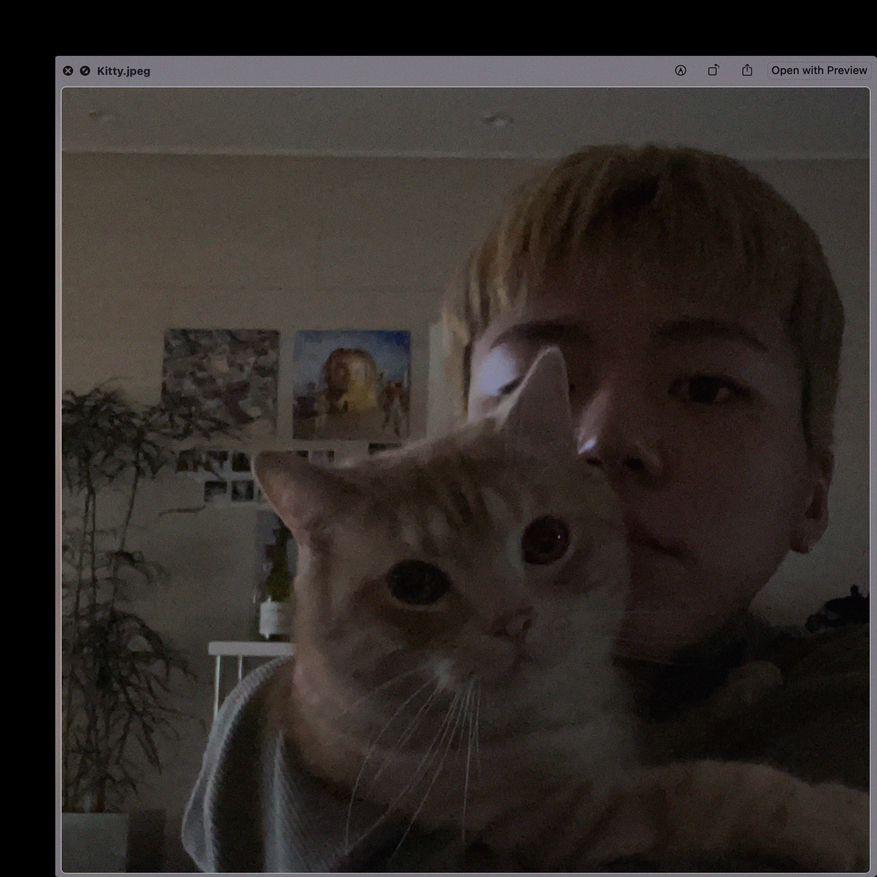 Kitty (feat. MIYEON) - Single album cover