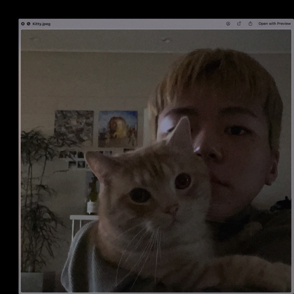 Kitty (feat. MIYEON) - Single album cover