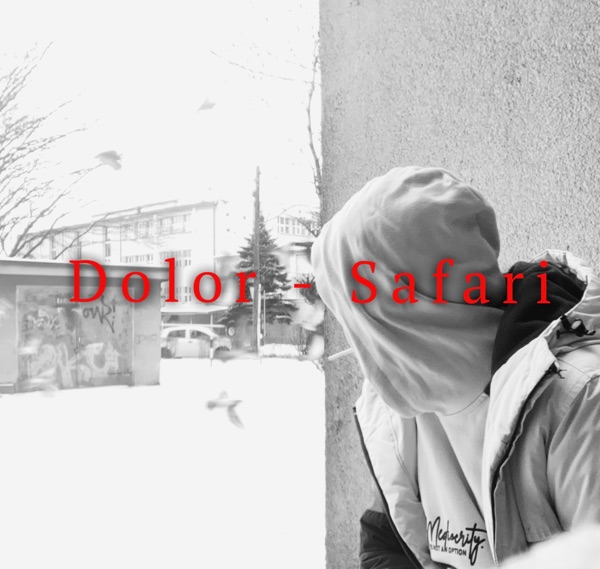 Safari - Single album cover