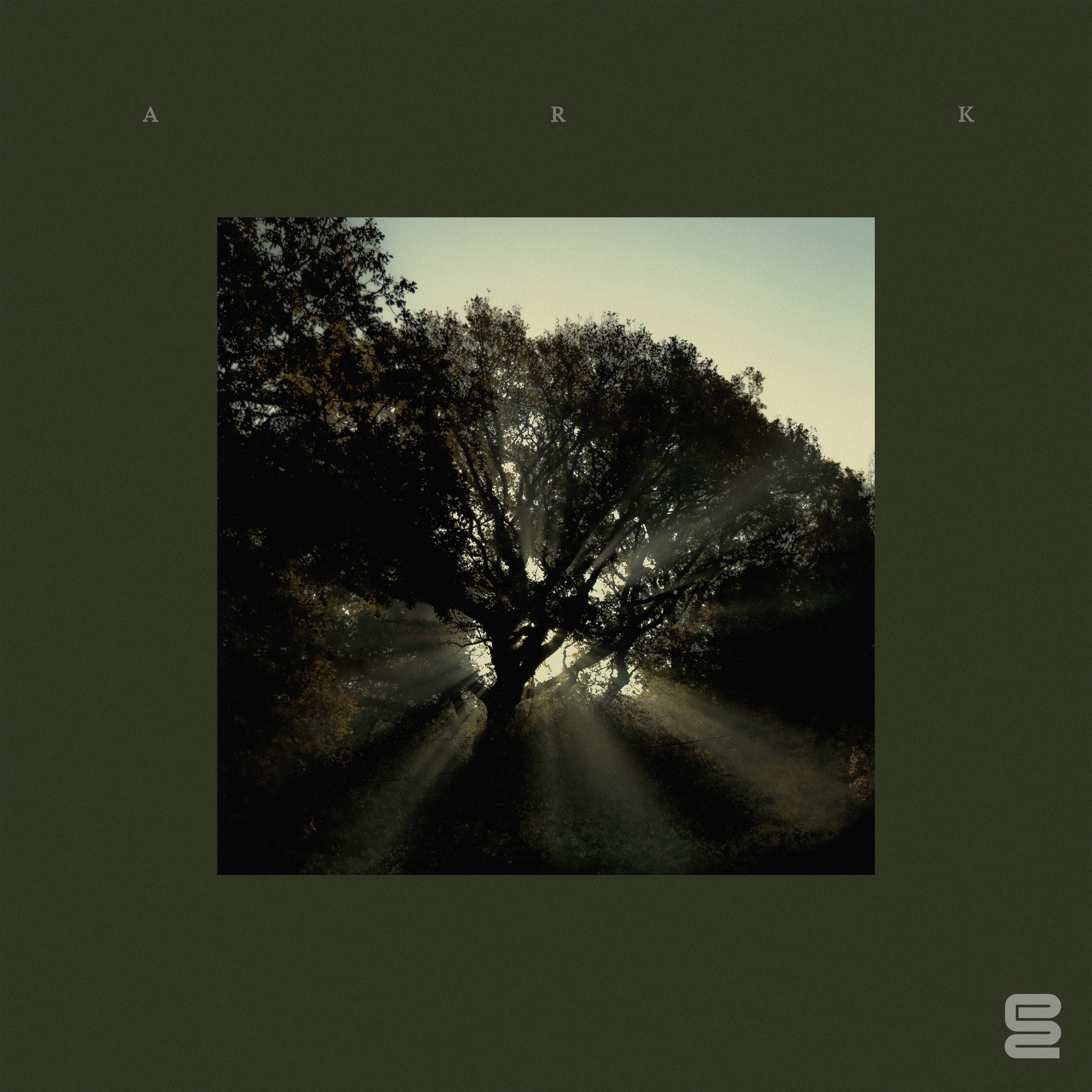 Bird Flight - Single album cover