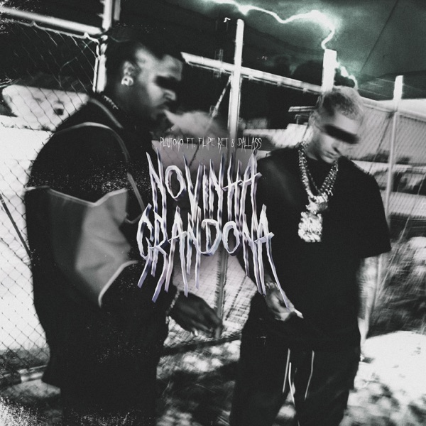 Novinha Grandona - Single album cover