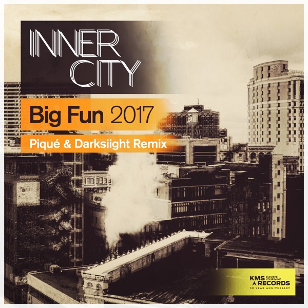 Big Fun 2017 (Piqué & Darksiight Remix) - Single album cover