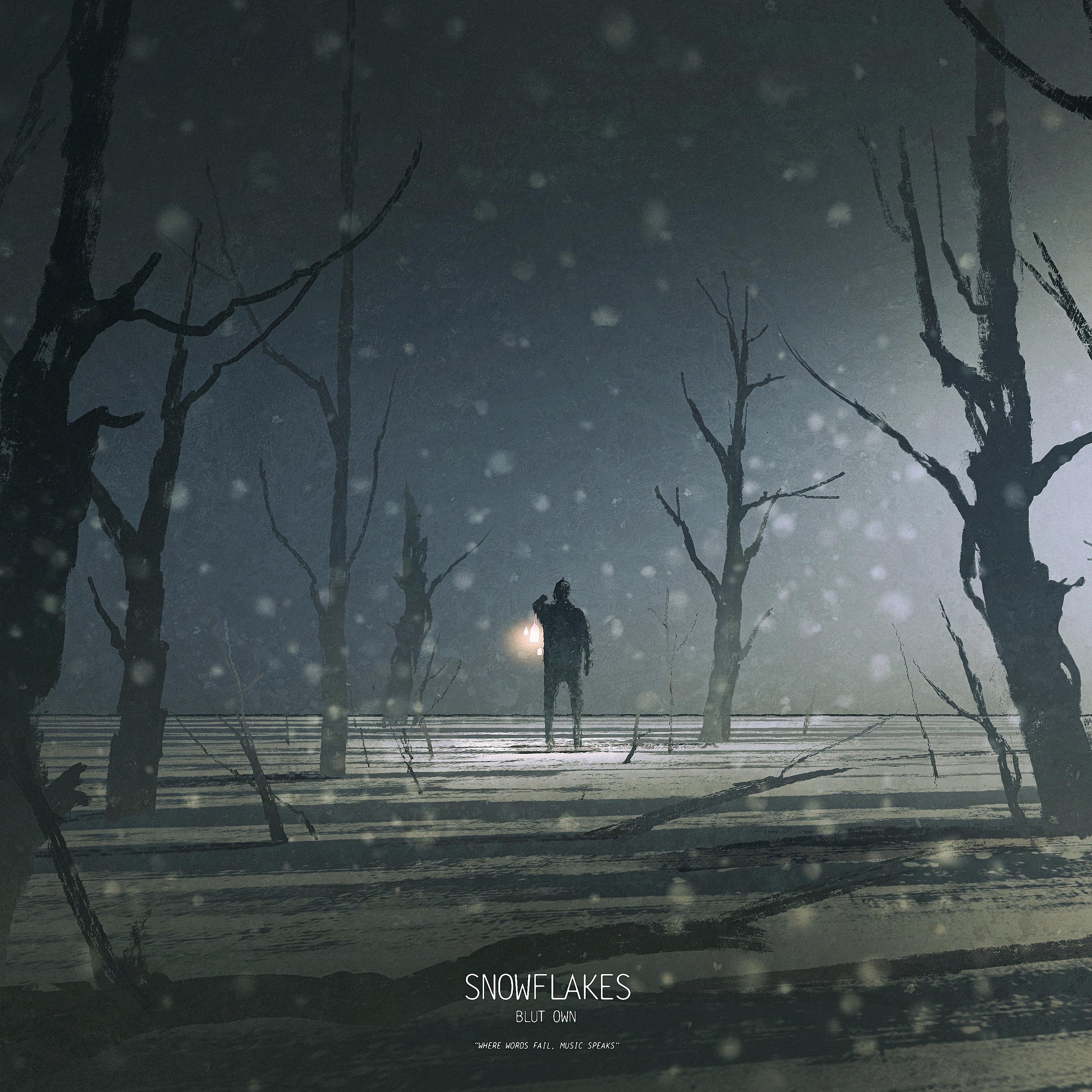 Snowflakes - Single album cover