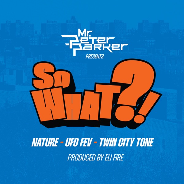 So What?! - Single album cover