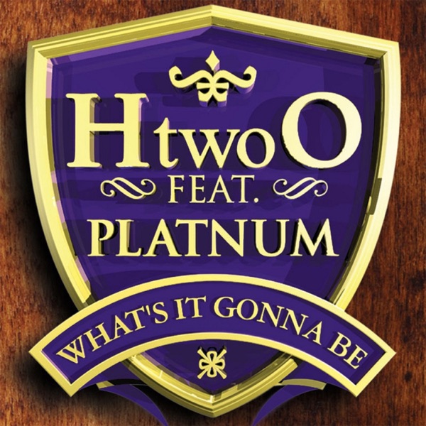 What's It Gonna Be (feat. Platnum) - Single album cover