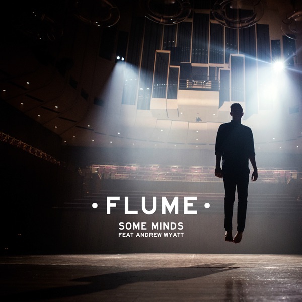 Some Minds (feat. Andrew Wyatt) - Single album cover