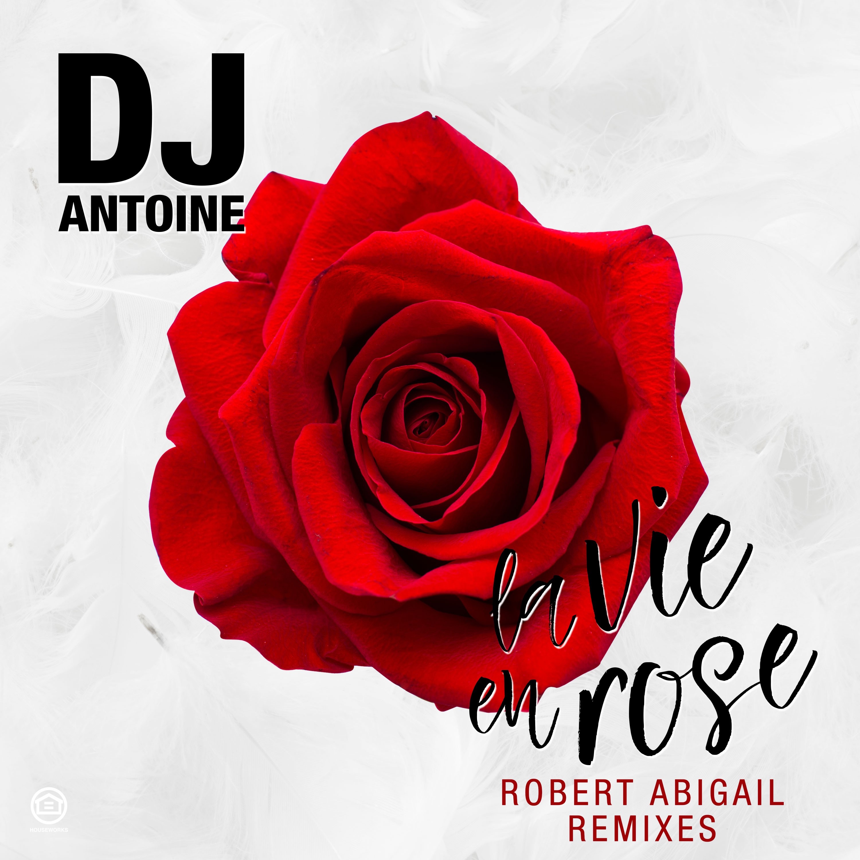 La Vie en Rose (Robert Abigail Remixes) - Single album cover