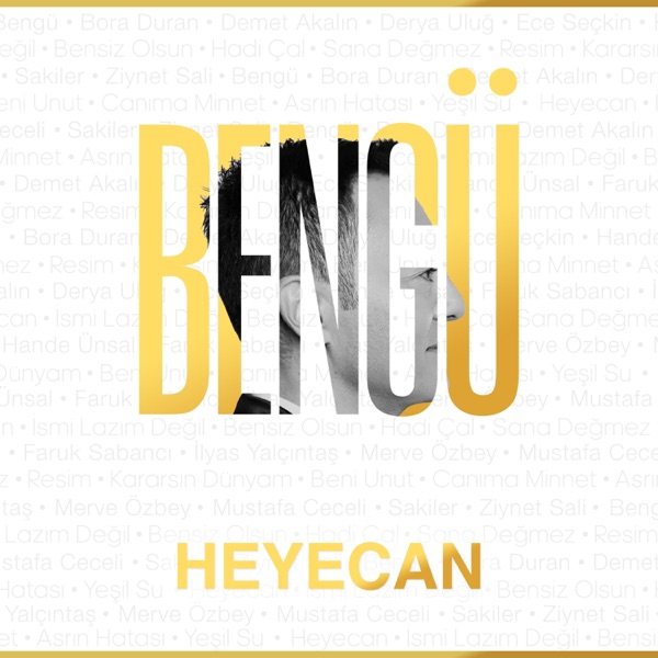 Heyecan - Single album cover