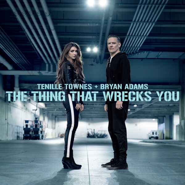 The Thing That Wrecks You - Single album cover