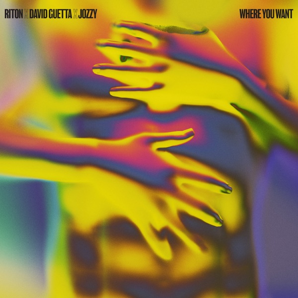 Where You Want - Single album cover