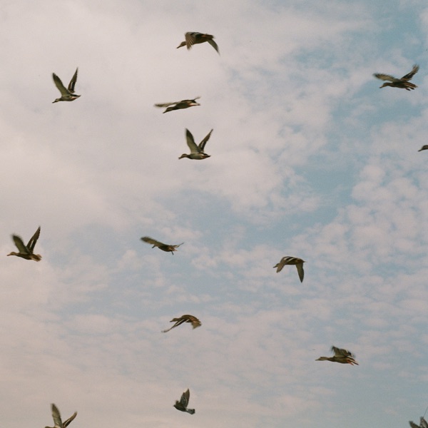 Strength In Numbers - EP album cover