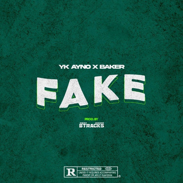 Fake (feat. Bakar) - Single album cover