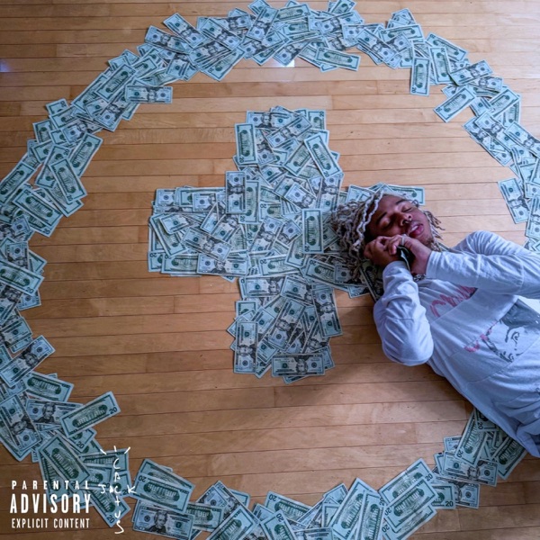 What You Want - Single album cover