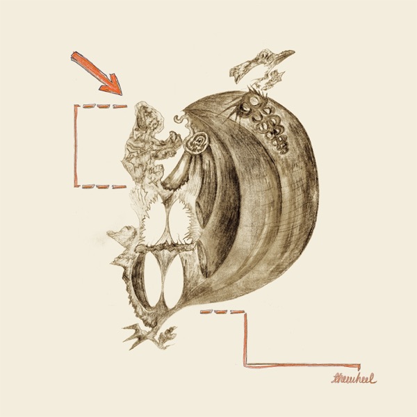 The Wheel - Single album cover