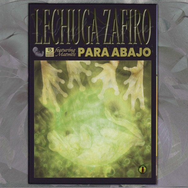 Para Abajo (feat. Matmos & Seba Tc) - Single album cover