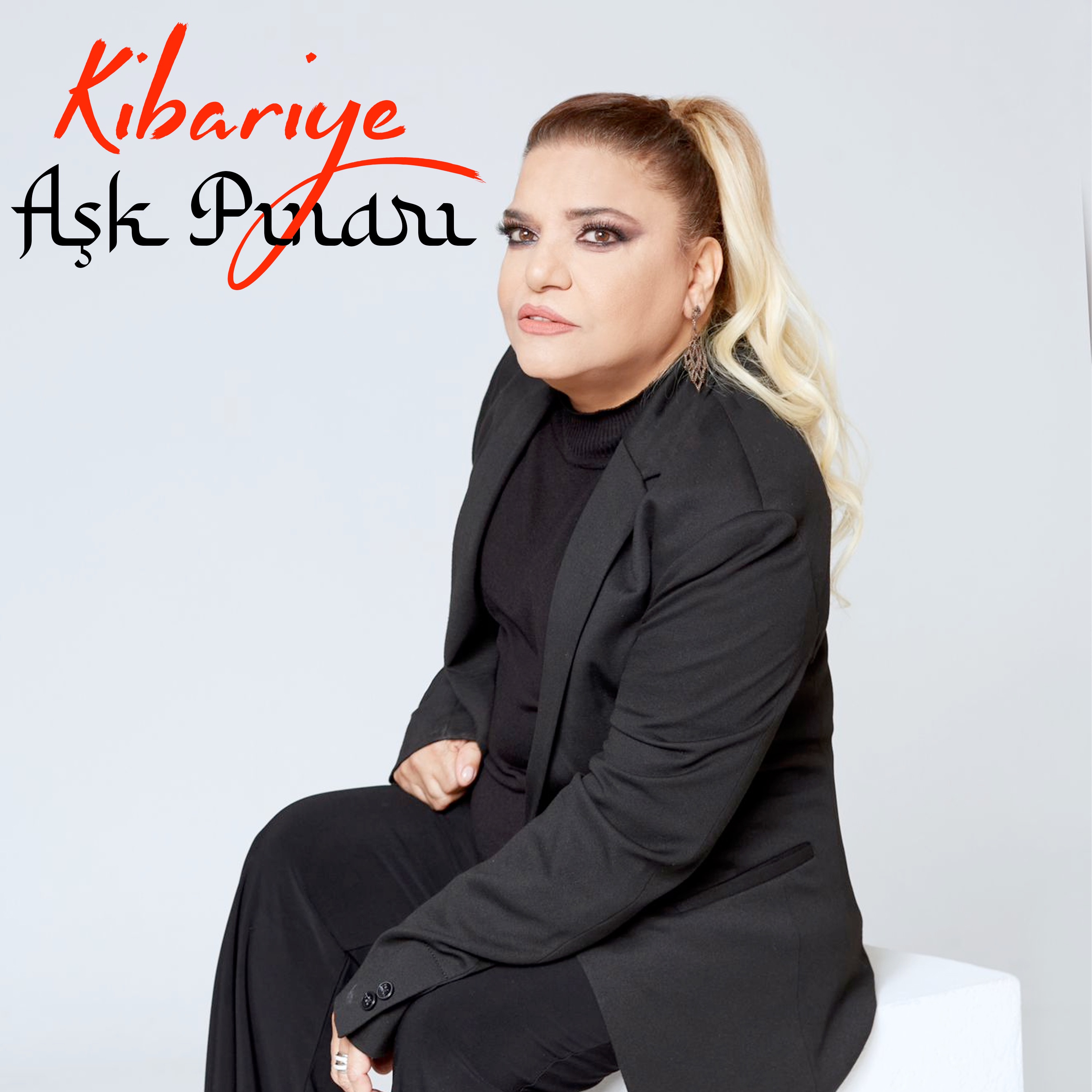 Aşk Pınarı - Single album cover