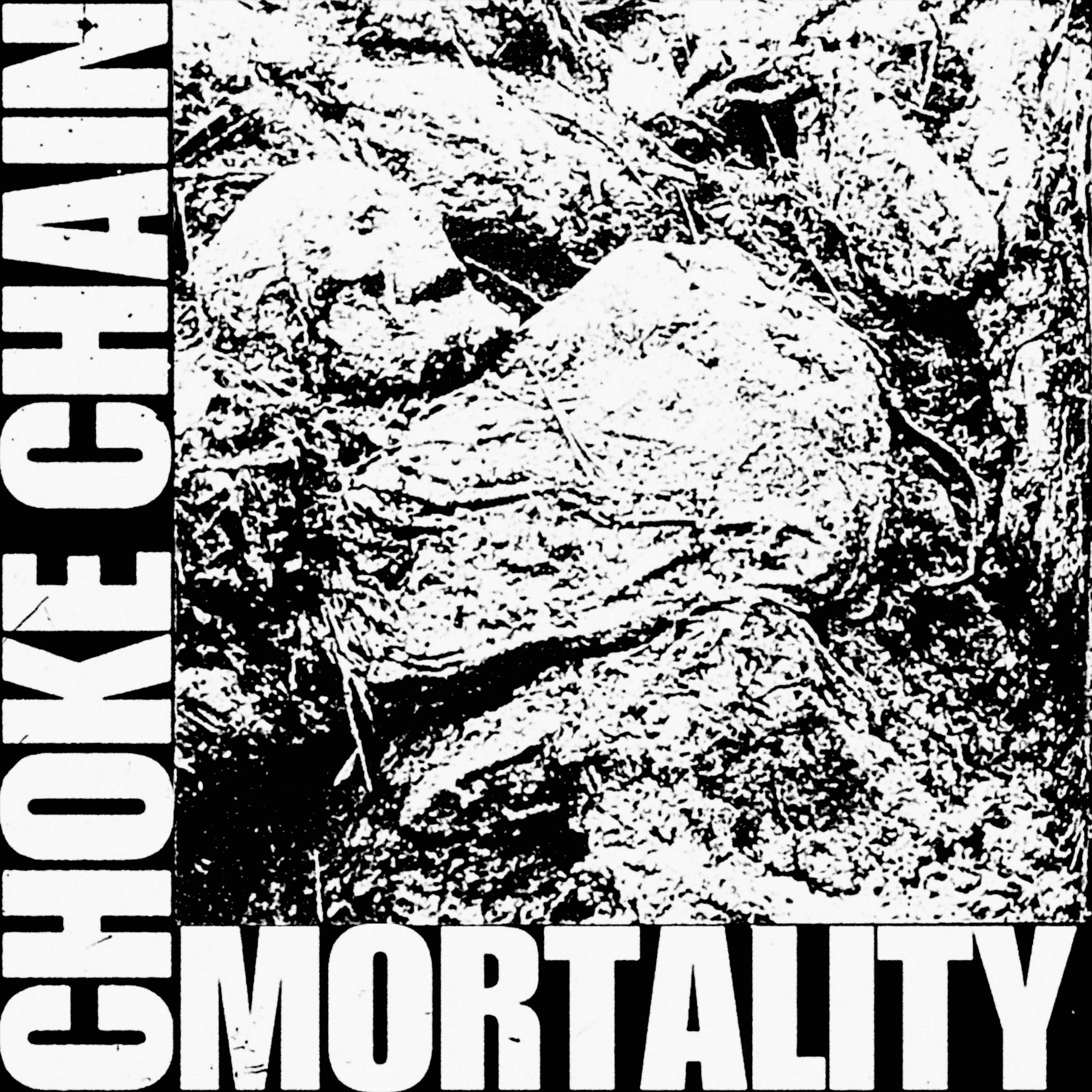 Mortality album cover