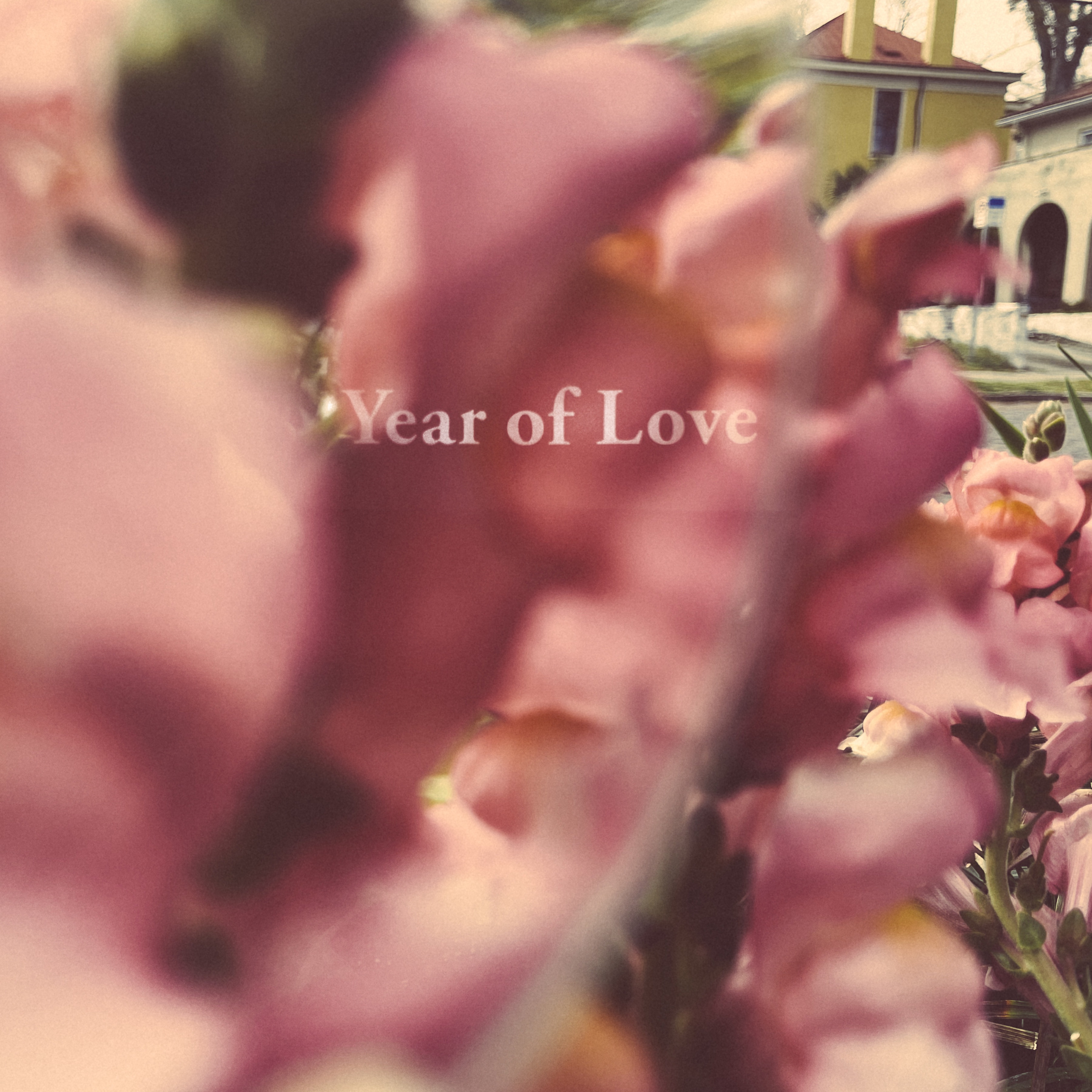 Year of Love album cover