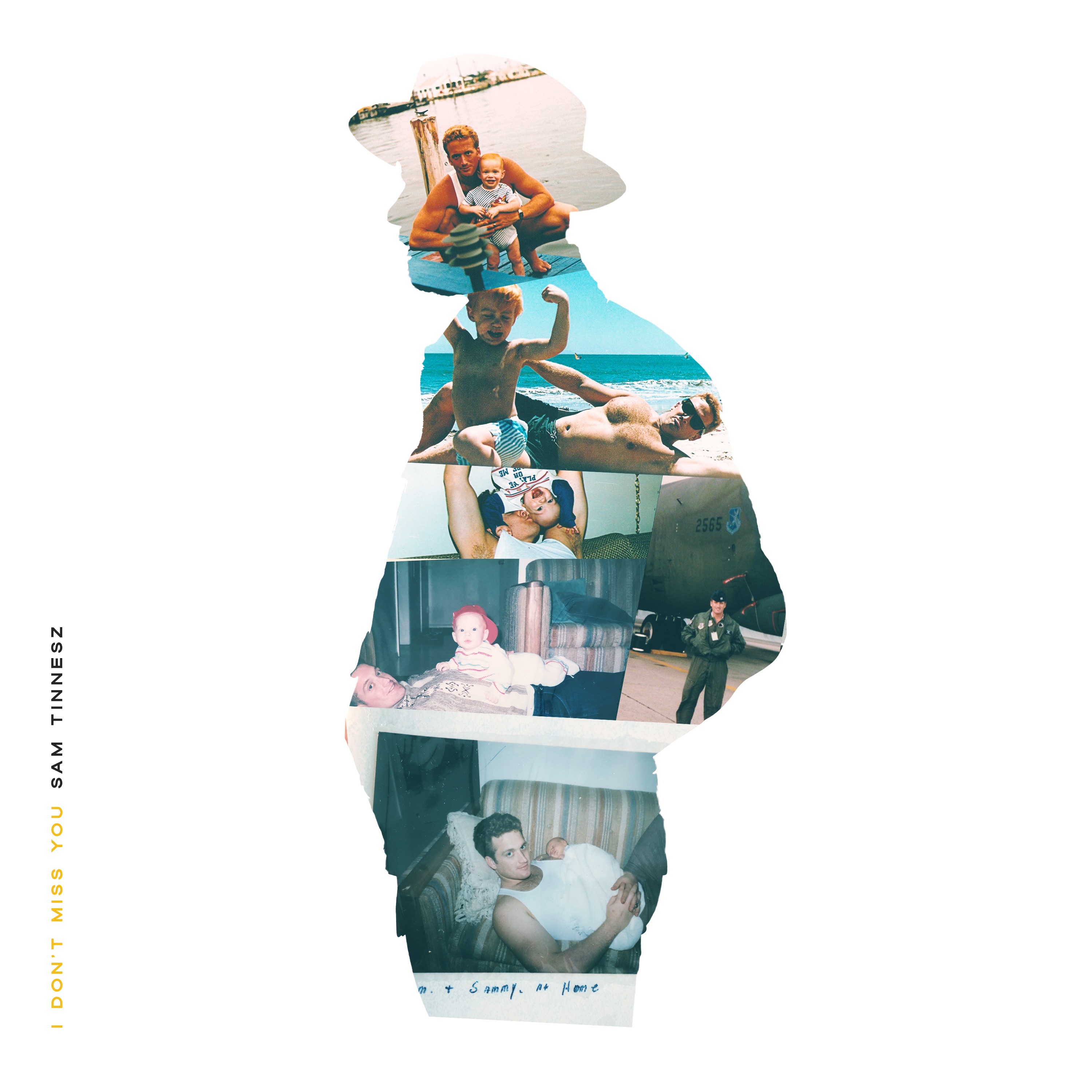 I Don't Miss You - Single album cover