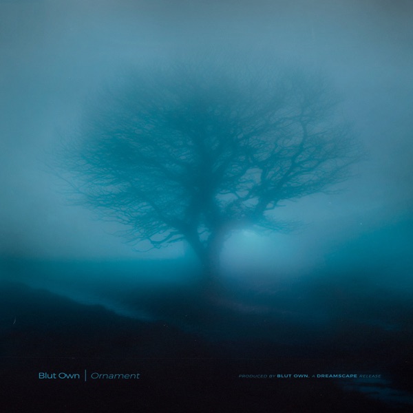 Ornament - Single album cover