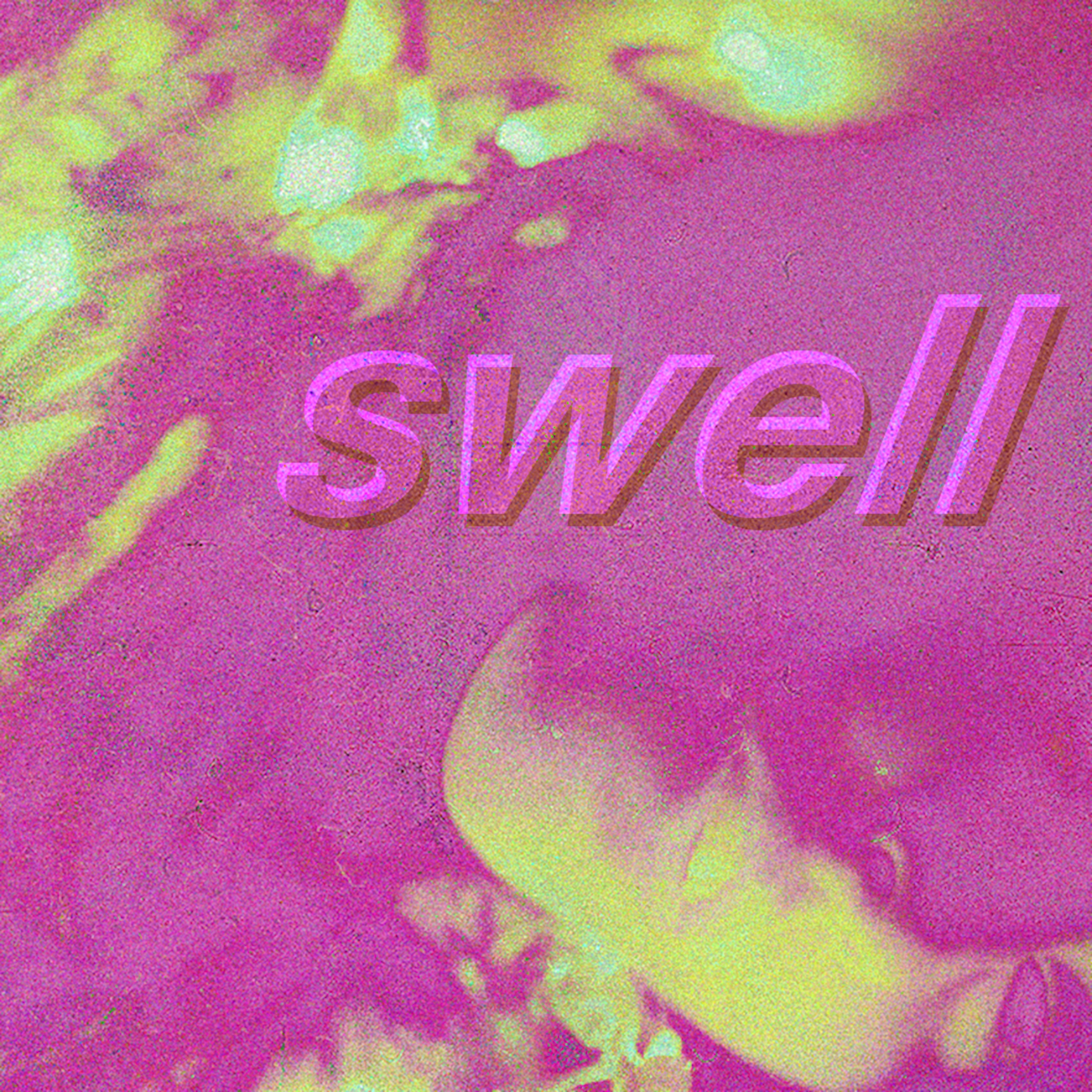 Swell album cover