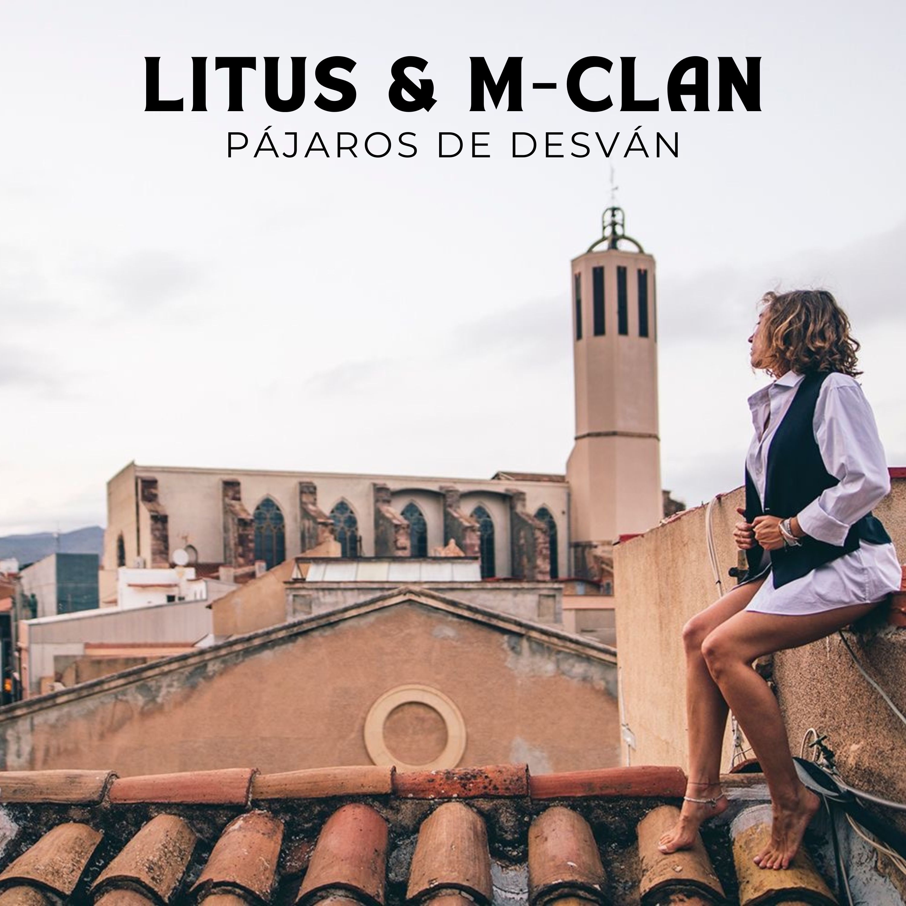 Pájaros de Desván - Single album cover