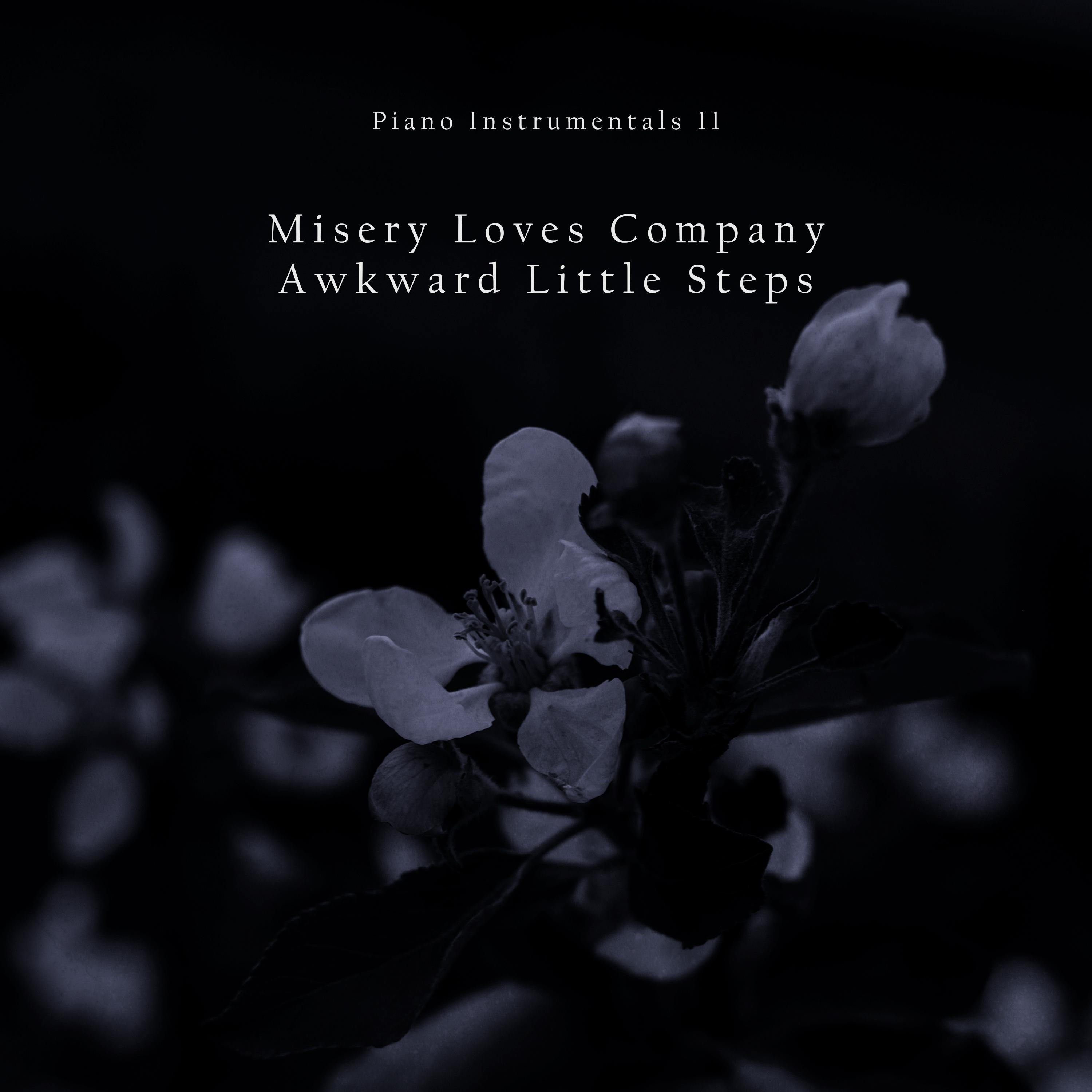 Piano Instrumentals II : Misery Loves Company - Single album cover
