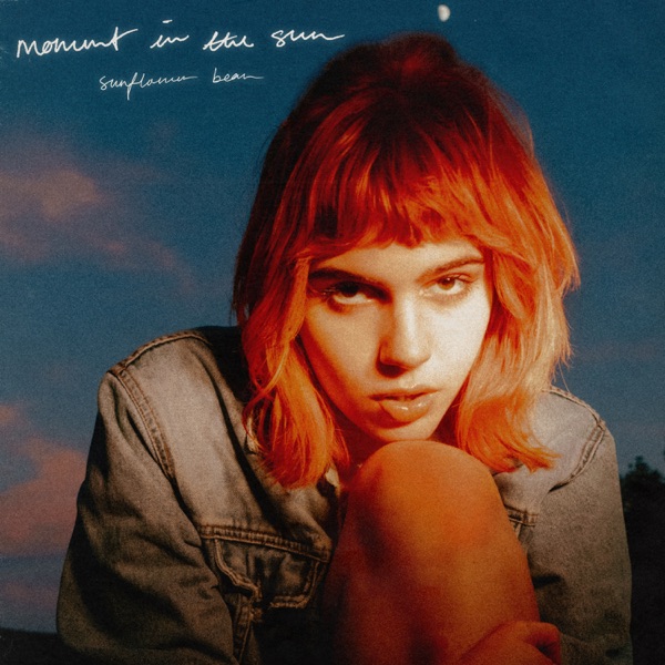 Moment In the Sun - Single album cover