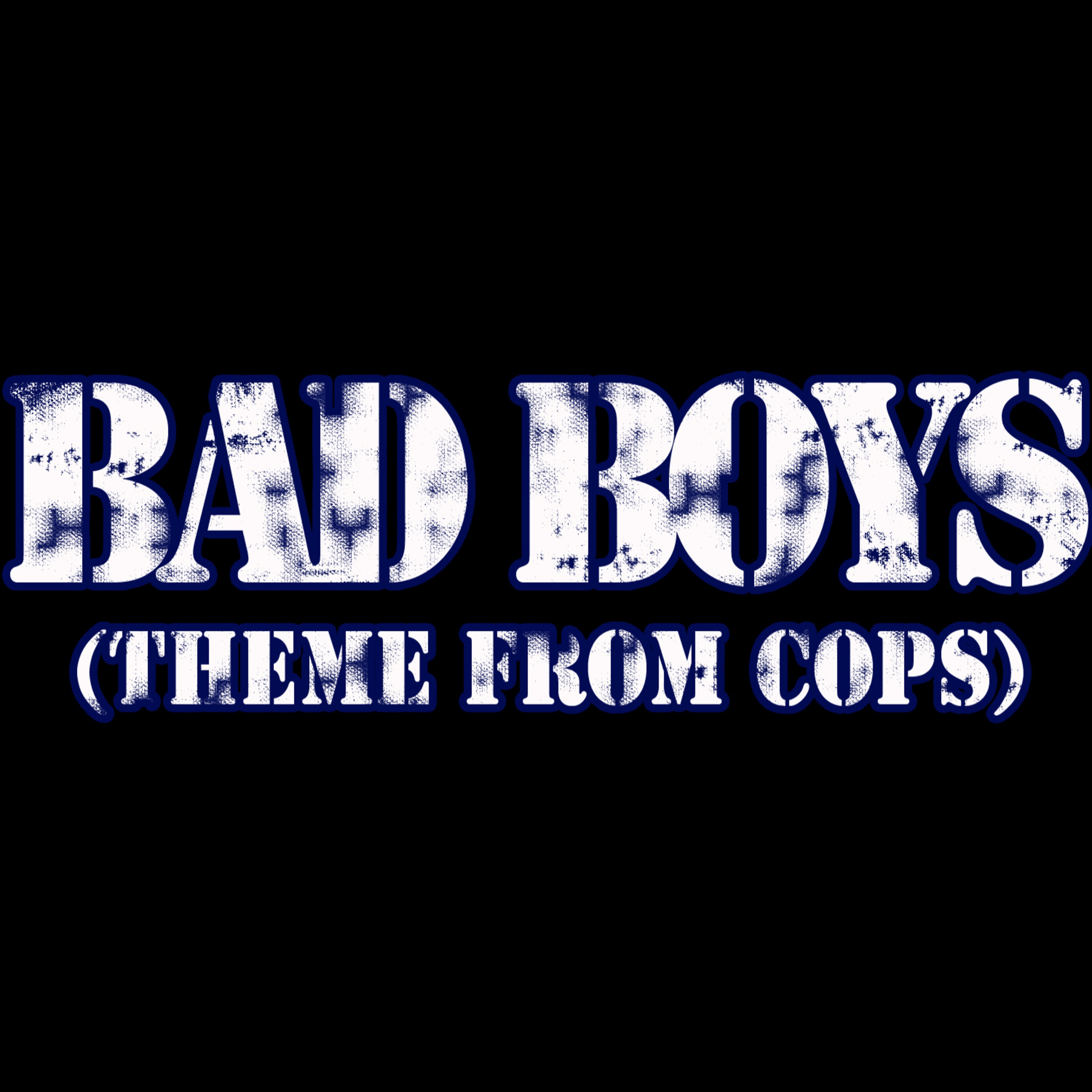 Bad Boys (Theme from Cops) - Single album cover